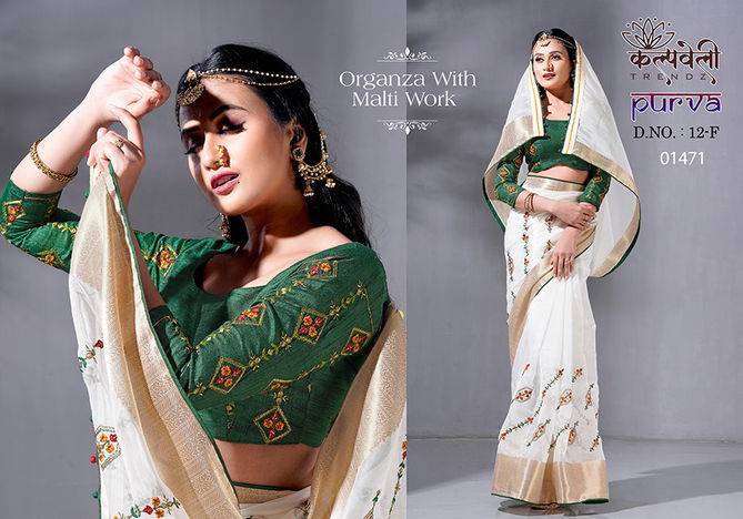 Purva 12 Embroidery Work Designer Sarees Catalog